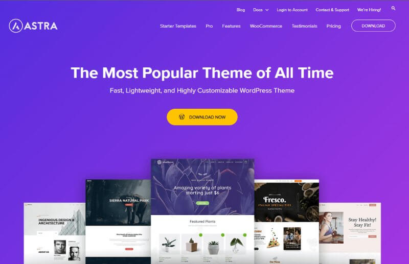 Astra-theme-for-Personal-website